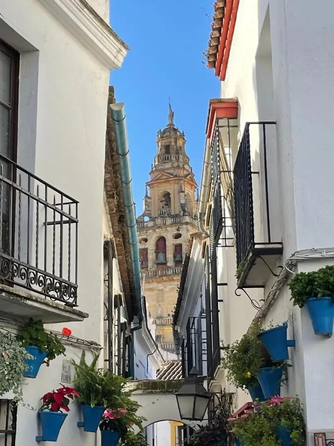 Casa Terraza Juderia Apartment Cordoba