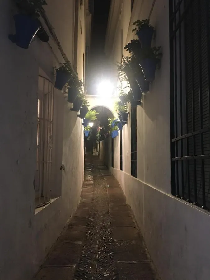 Casa Terraza Juderia Apartment Cordoba