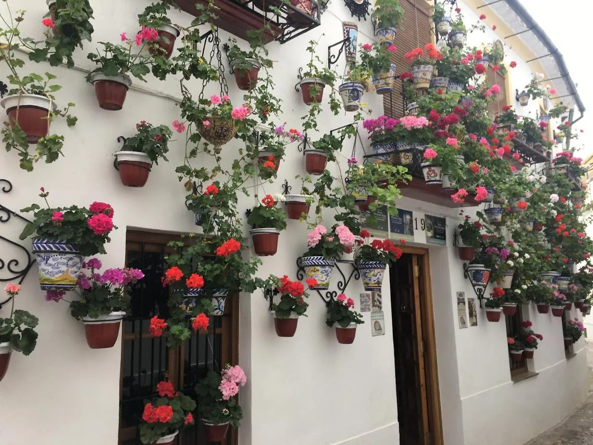 Casa Terraza Juderia Apartment Cordoba