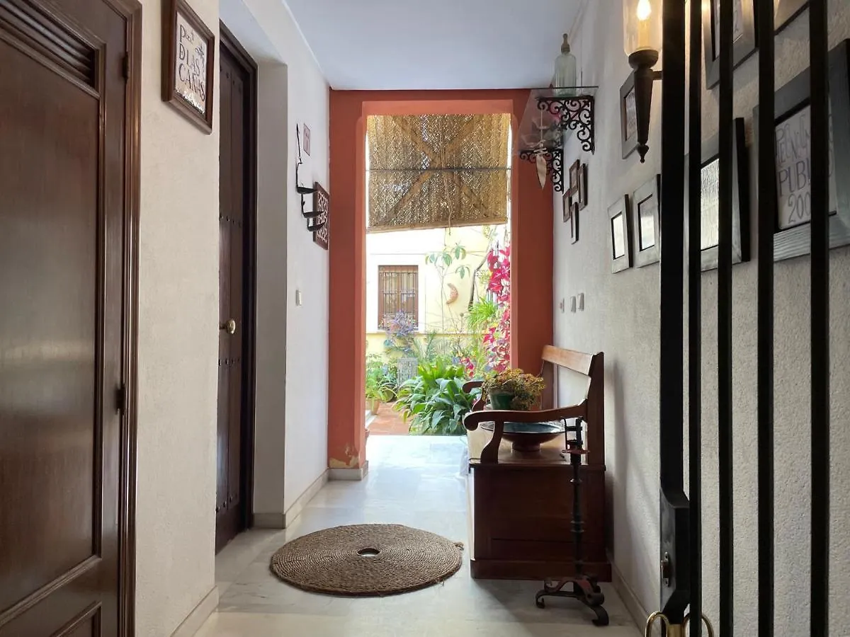 Casa Terraza Juderia Apartamento Córdova 0*,  Espanha